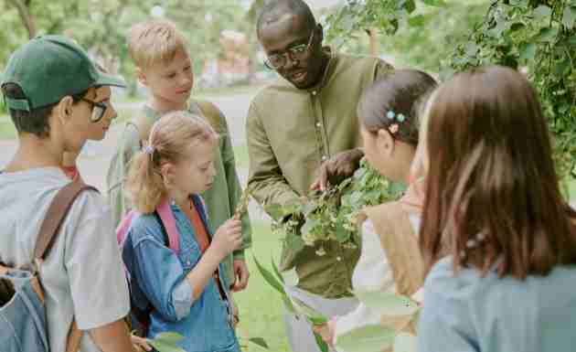 Garden Guide Homenumental: Redefining Outdoor Living with