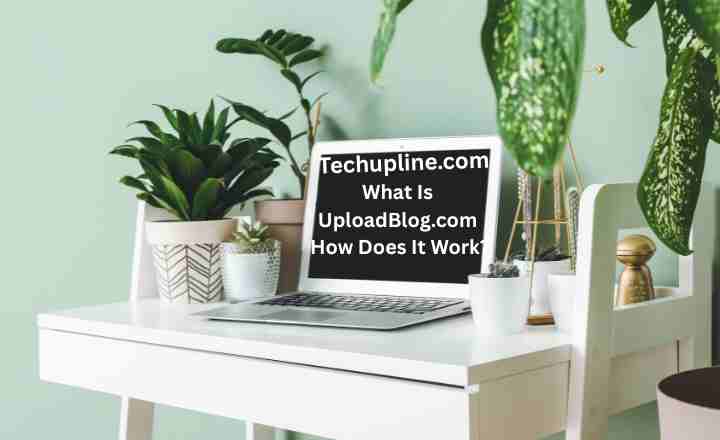 What Is UploadBlog.com and How Does It Work?