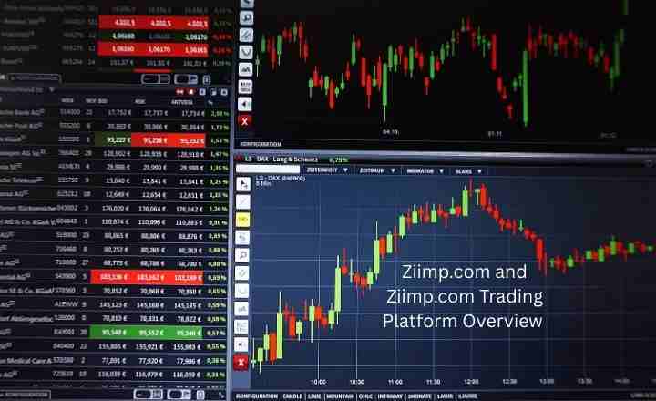 Ziimp.com and Ziimp.com Trading – Platform Overview
