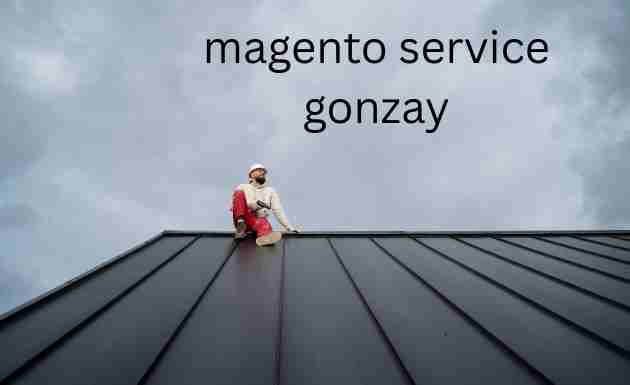 magento service gonzay